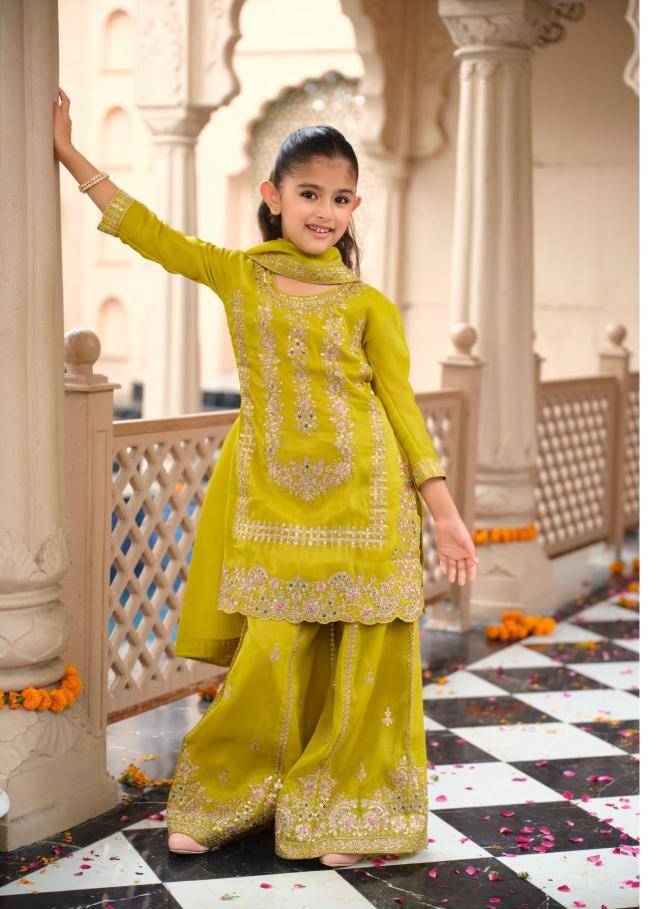 Shorya nanni munni krohi kids Kurti wholesalers